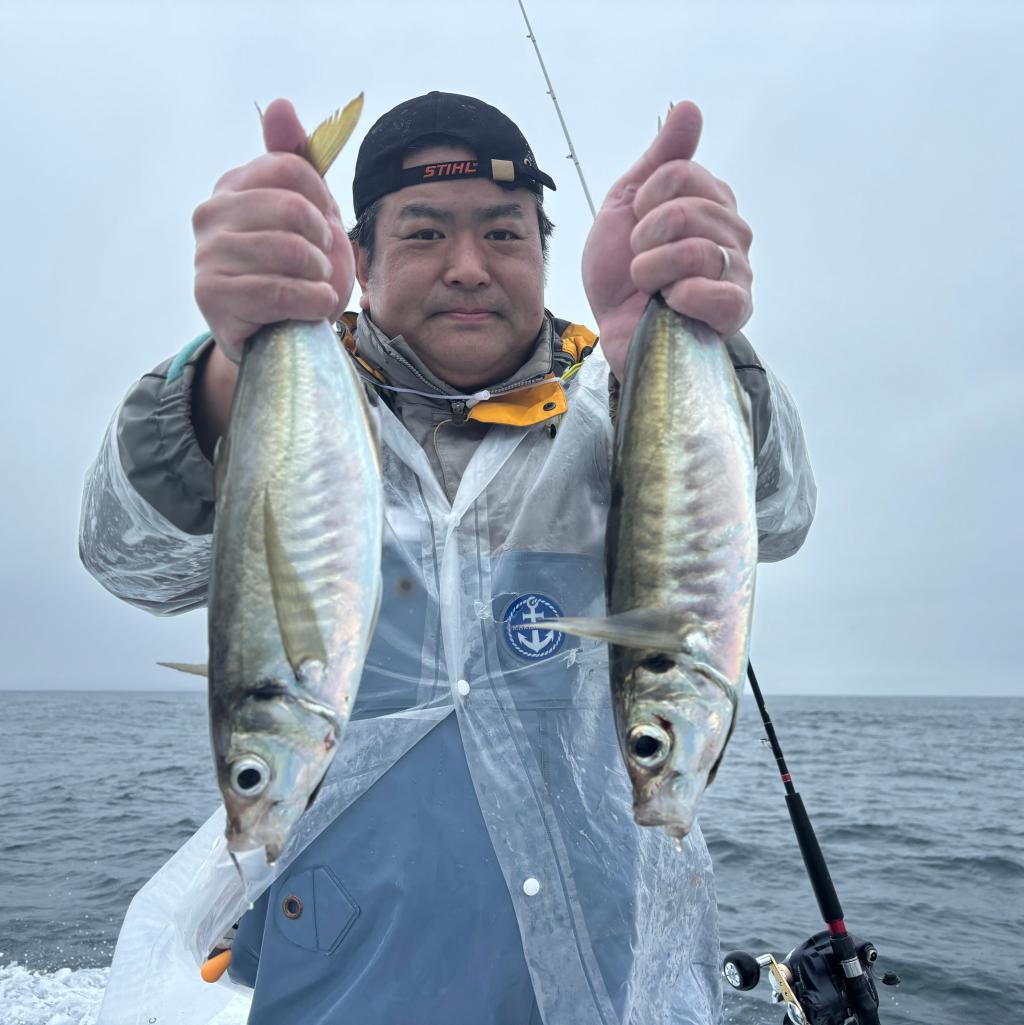 魚礁、アジ、泳がせ釣り