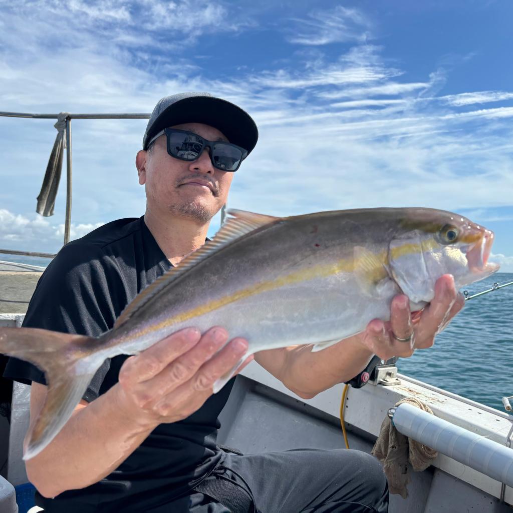 魚礁、アジ、泳がせ釣り