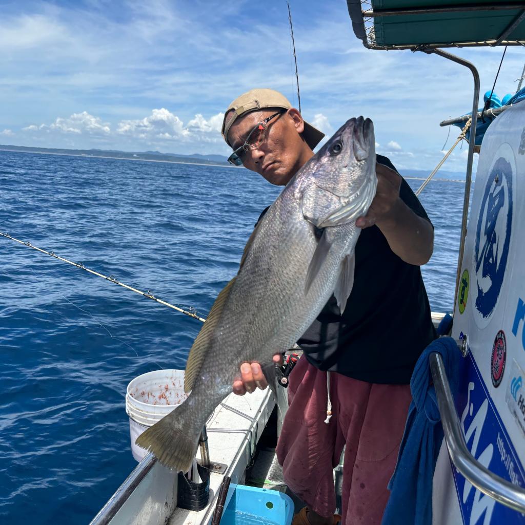 アジ釣り、泳がせ
