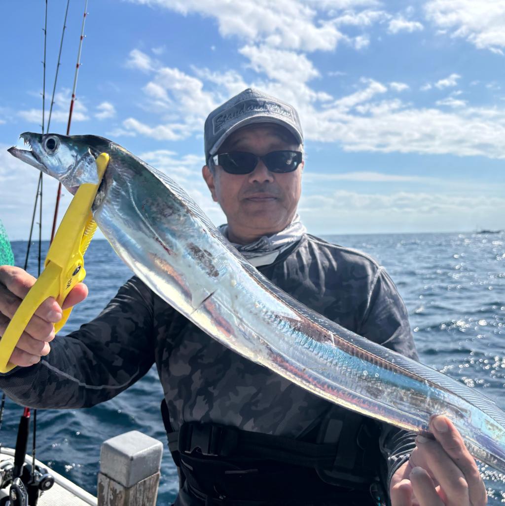 アジ釣り、タチウオ釣り