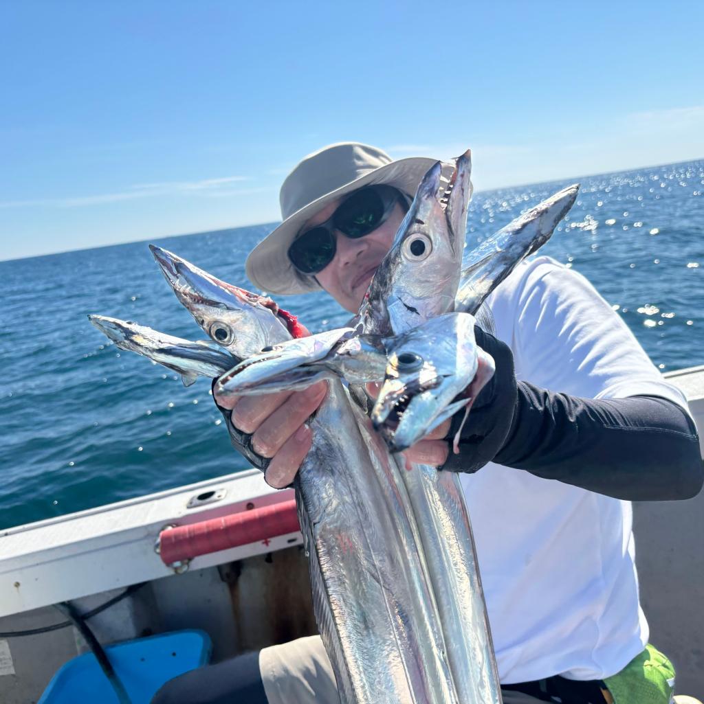 アジ釣り、タチウオ釣り
