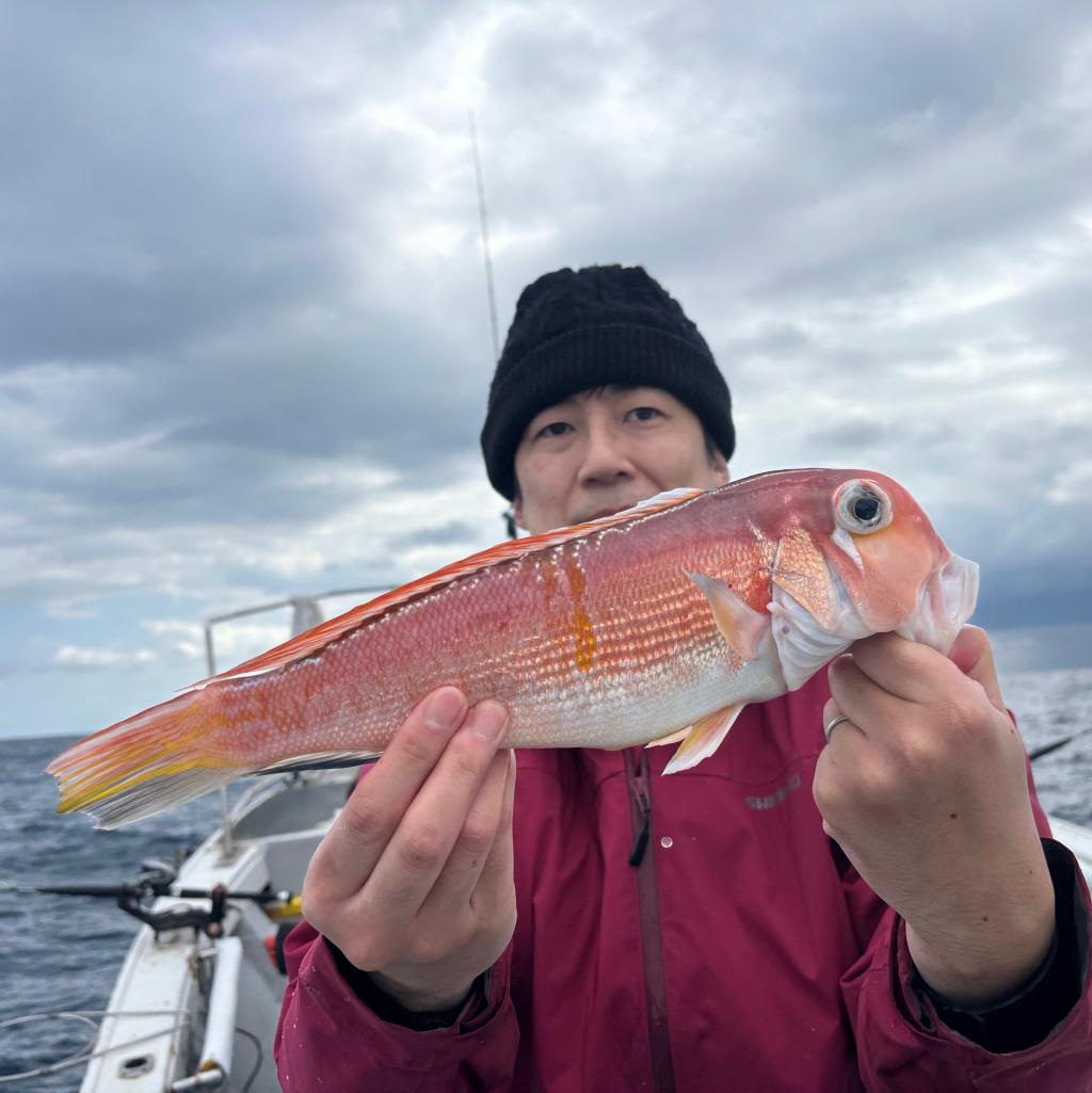 アジ釣り、甘鯛、白甘鯛