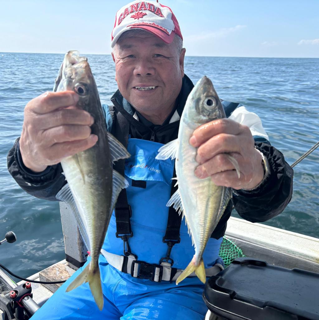 3/17魚礁、アジ、泳がせ釣り