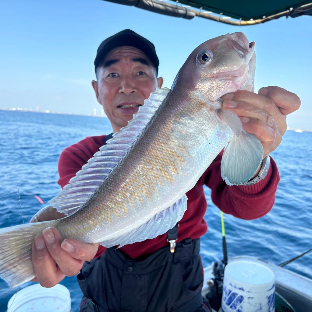 アジ釣り、タチウオ釣り