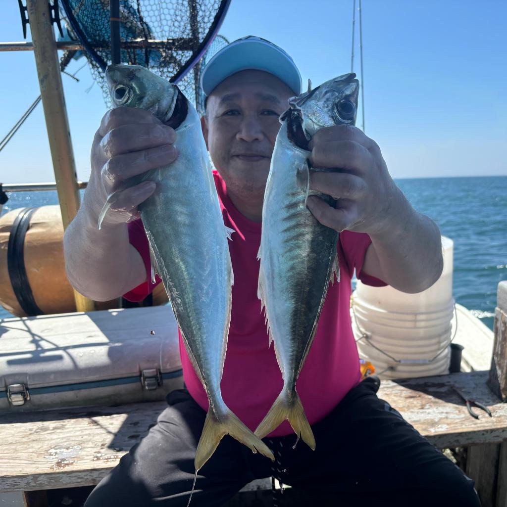 アジ釣り