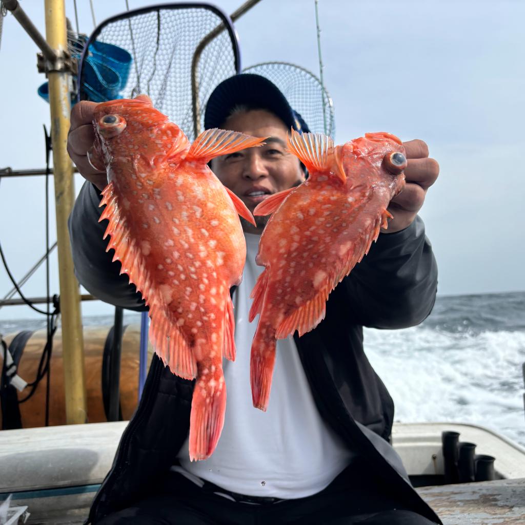 3/2白甘鯛、アジ