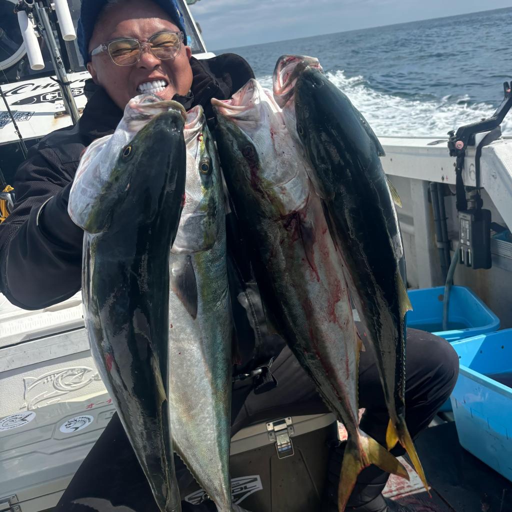 魚礁、アジ、泳がせ釣り