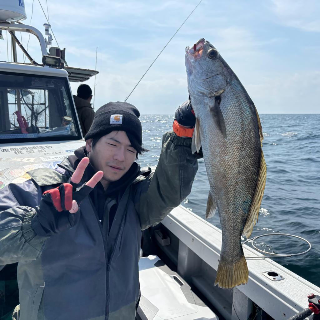 魚礁、アジ、泳がせ釣り