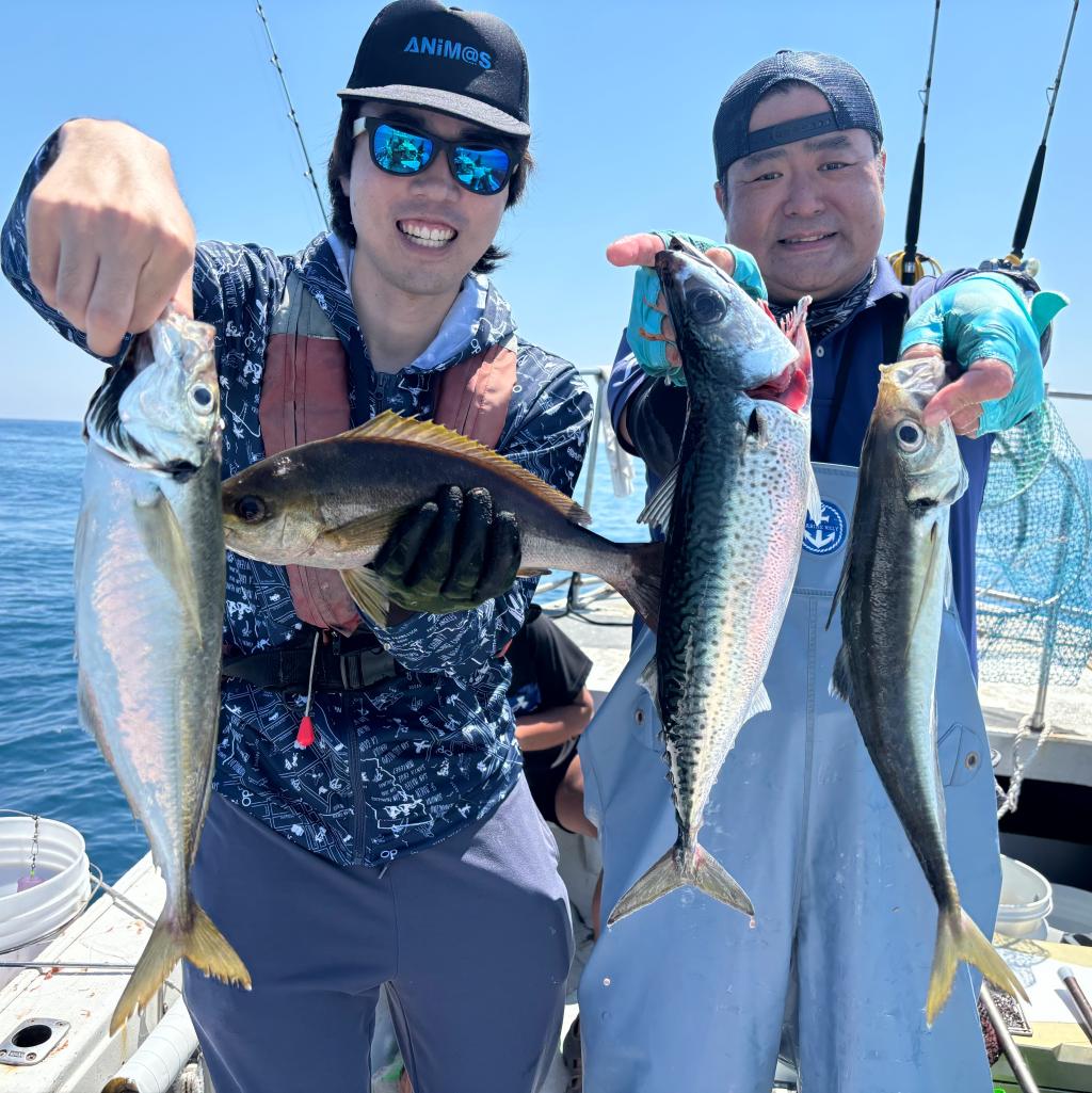イサキ、アジ釣り