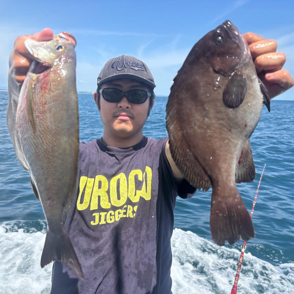イサキ、アジ釣り、泳がせ