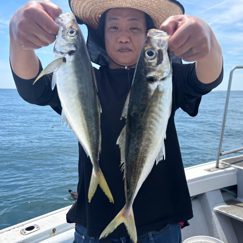 6/1アジ釣り