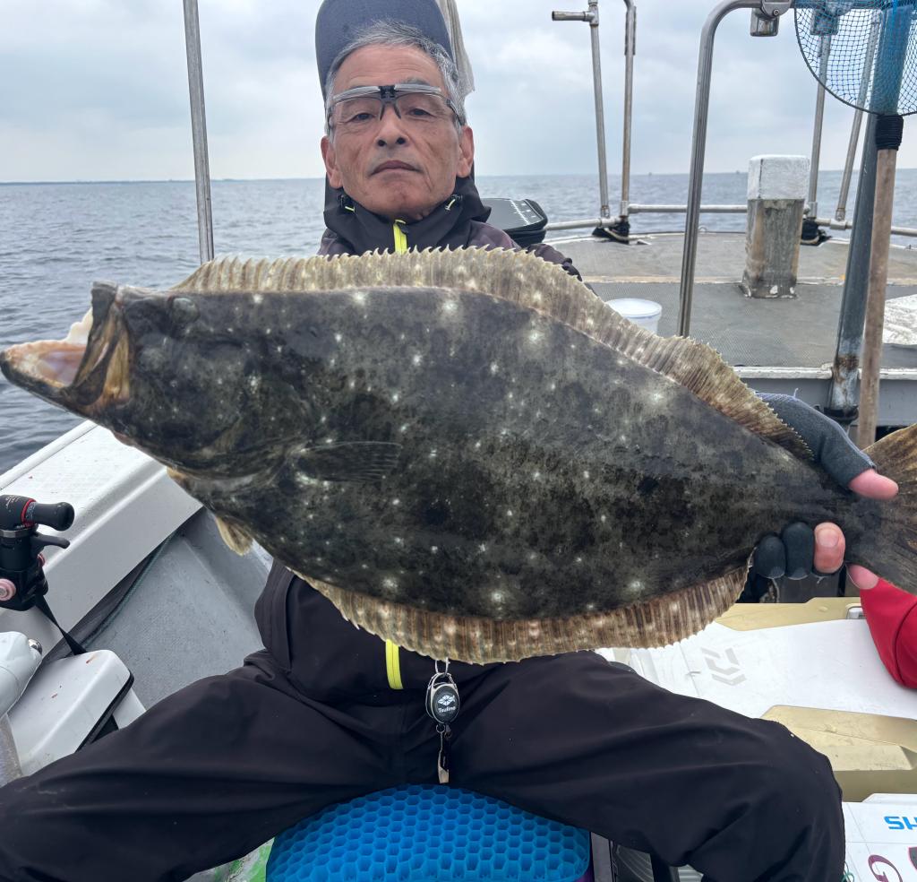 アジ釣り、ヒラメ、タチウオ釣り